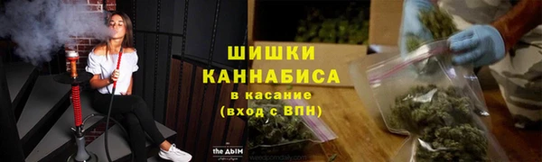 Альфа ПВП Гусь-Хрустальный