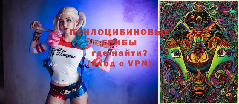 Псилоцибиновые грибы GOLDEN TEACHER  ссылка на мегу как зайти  Агидель 
